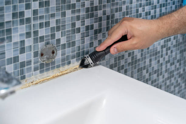 Best Residential Mold Remediation in Roseland, OH